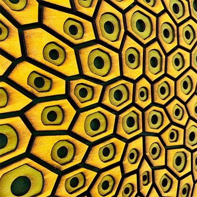 Eye and Eye Portal 4 - 3