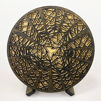 Redwood Canopy Coaster 4