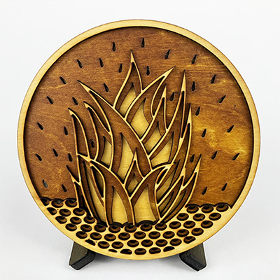 Agave Fire Coaster 2