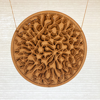 June 2024 Experiment 1