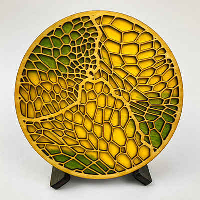 Conocephalum Coaster #3