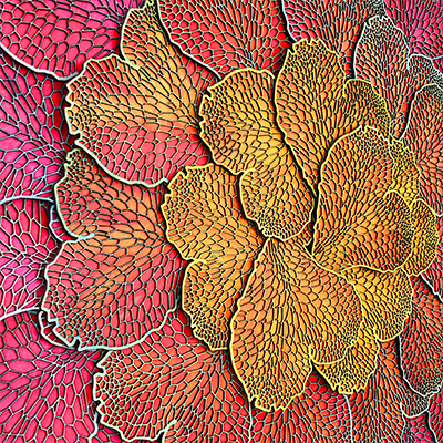 Conocephalum II Close Up