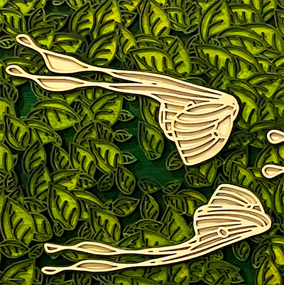 Yelapa Palapa Mariposa